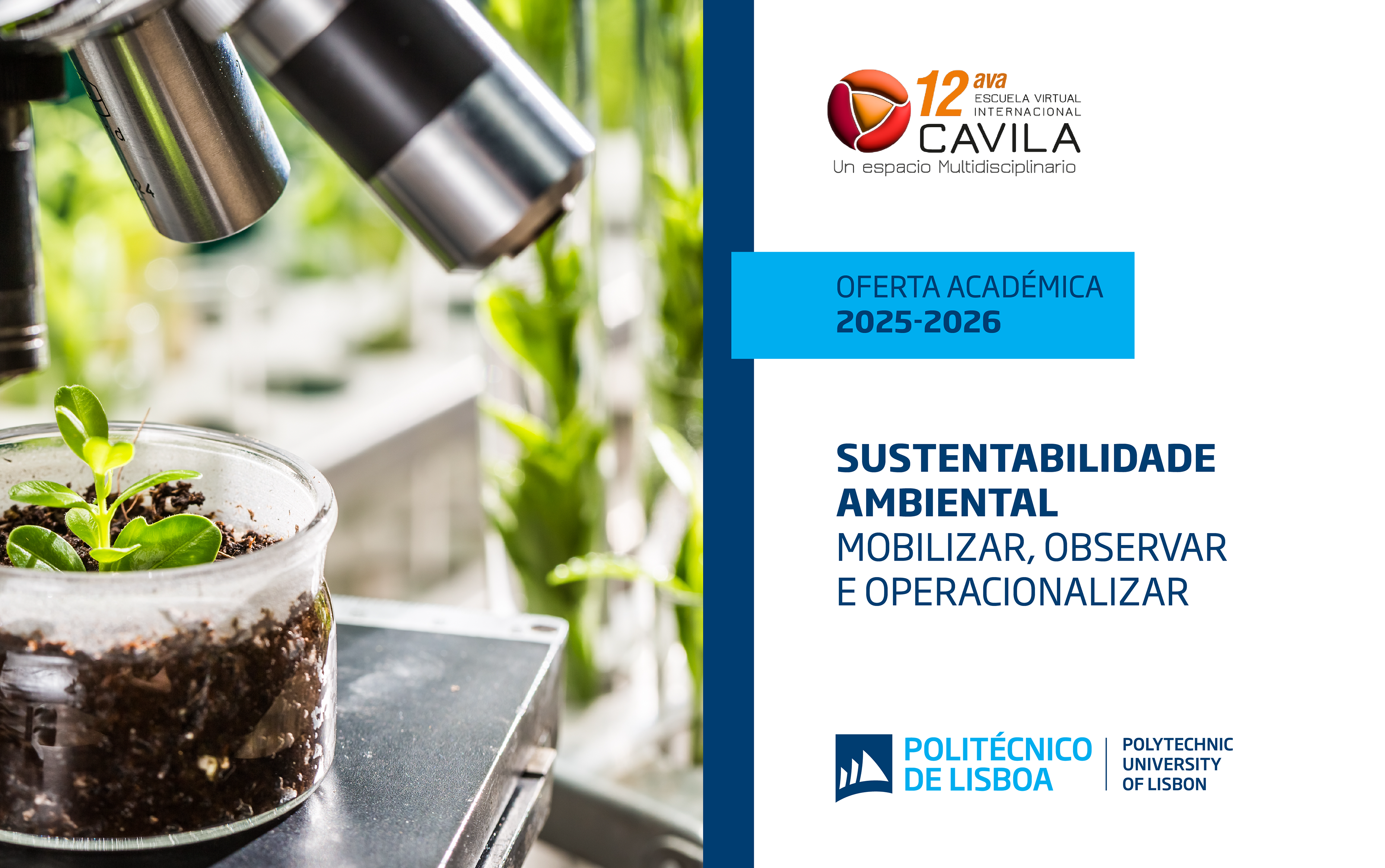 Curso Online: Sustentabilidade Ambiental – Mobilizar, Observar e Operacionalizar